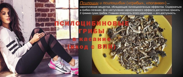 бошки Балахна