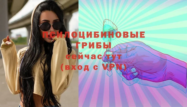 бошки Балахна
