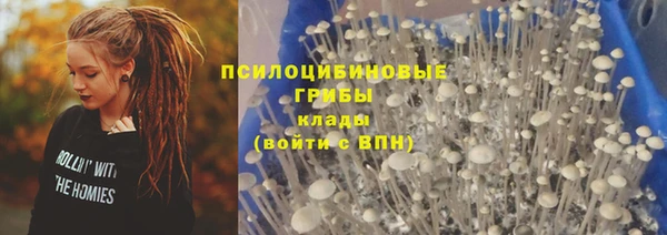 бошки Балахна