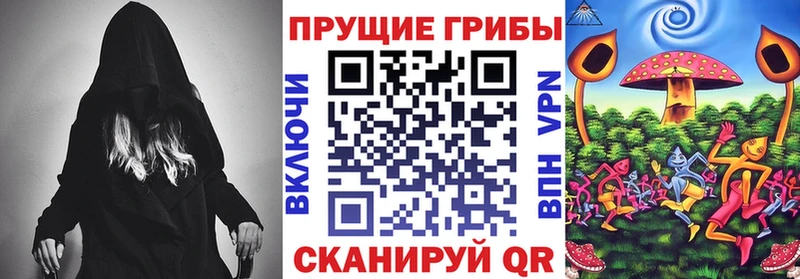 купить наркотик  mega   маркетплейс формула  Поворино  Галлюциногенные грибы мицелий 